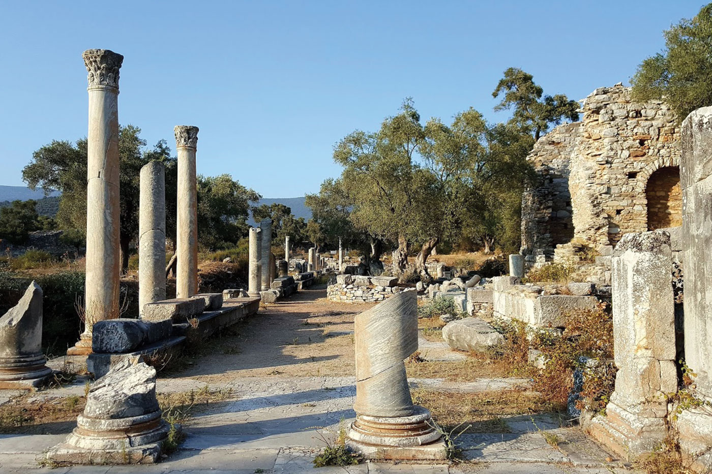 İassos Antik Kenti Nerede, Nasıl Gidilir, Giriş Ücreti, MUĞLA 2024