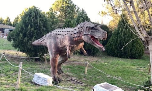 Dinozor Park Nerede – Nasıl Gidilir – Giriş Ücreti – ADANA