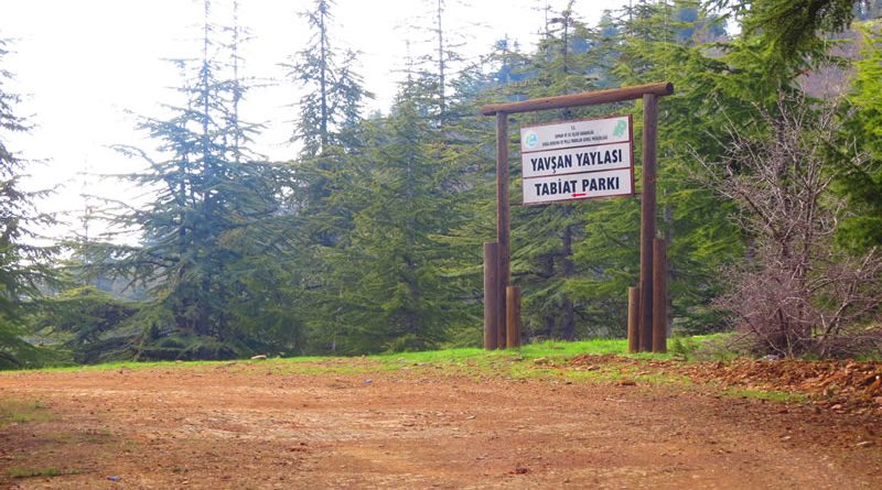 Yavşan Yaylası Tabiat Parkı Nerede – Nasıl Gidilir – Giriş Ücreti